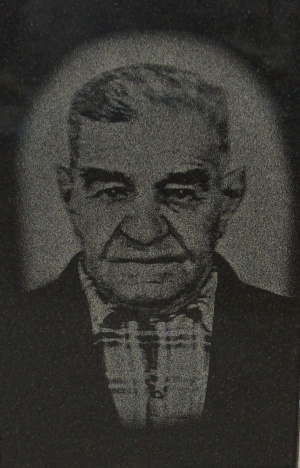 �������� ���� �����